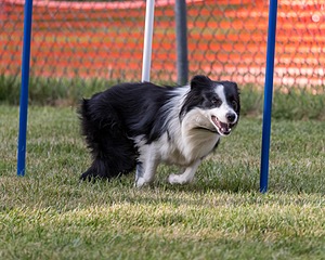 20200819-2877.jpg