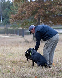Ruger Harrelson
