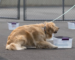20260718-NSKC-0302.jpg