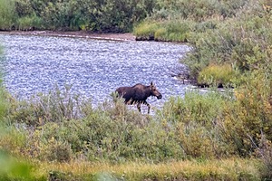 Glacier National Park