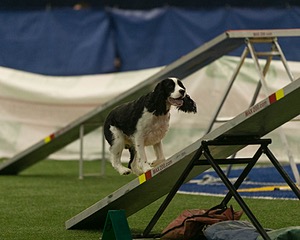 20150321-LEAP-0805.jpg