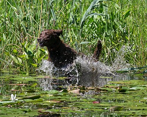20130810-JHW-0025.jpg