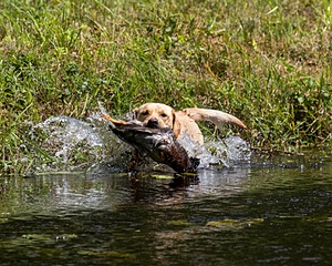 20200809-SHW-0011.jpg