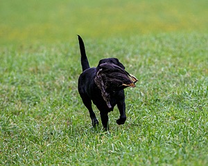 20150913-SEAL-0355.jpg