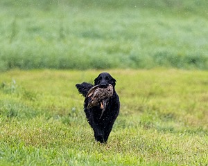 20210725-SHL-1706.jpg