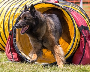 20180616-0676.jpg