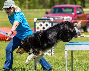 20170520-NEAT-1137.jpg