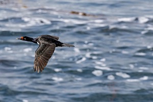 20191214-0315.jpg