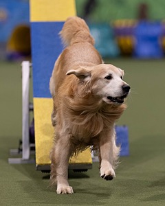 20260221-0811.jpg