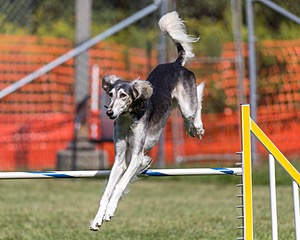 20200819-2526.jpg