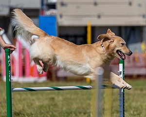 20180617-1652.jpg