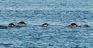 20191213-0320.jpg