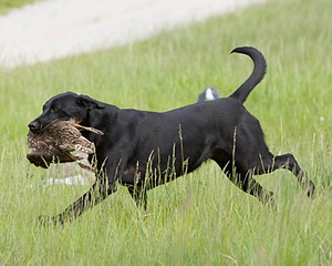 20080531-HRL-0308.jpg