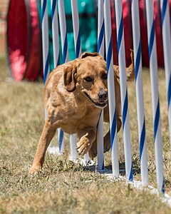 20160618-CCKC-1499.jpg