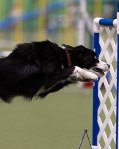 20260221-0539.jpg