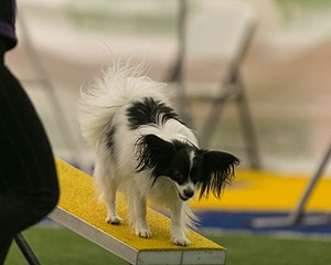 20150321-LEAP-1658.jpg