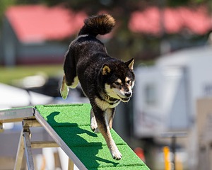 20180617-1416.jpg