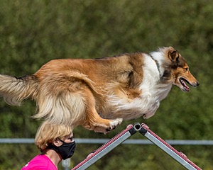 20200819-2520.jpg