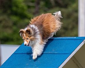 20180616-1836.jpg