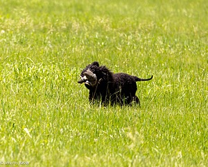 20220613-WD-0335.jpg