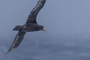 20260324-0042.jpg
