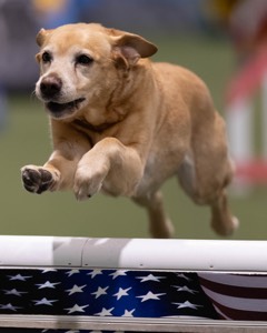 20260221-0112.jpg