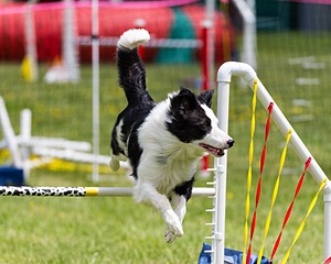 20160515-NEAT-1217.jpg