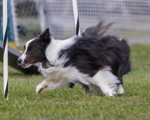 20230917-PVKC-2768.jpg