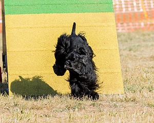 Cody Kanter
