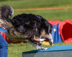 20170520-NEAT-0596.jpg