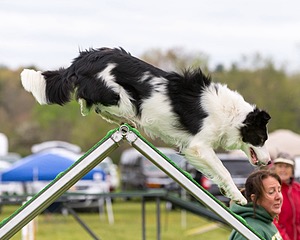 20160515-NEAT-0377.jpg