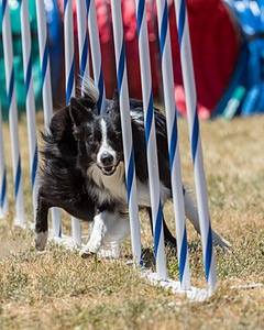 20160618-CCKC-1522.jpg