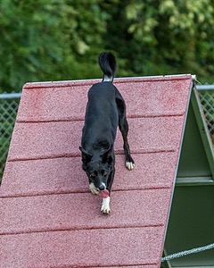 20200819-0233.jpg