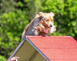 20190615-CCKC-0145.jpg