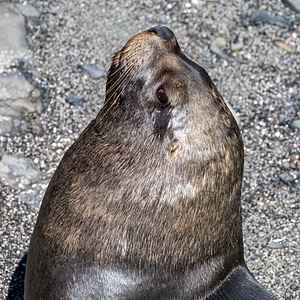 20191213-0124.jpg