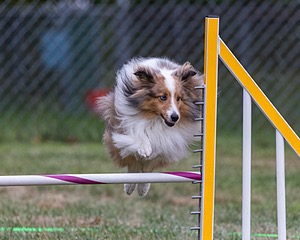 20200819-1933.jpg