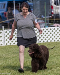 41 - GCH CH Brekkon's First Mark BN RN CGC TKN