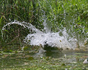 20130810-JHW-0318.jpg