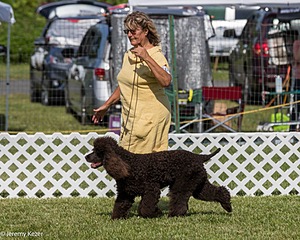 86 - GCH CH Chantico's The Power Of One (Allure)