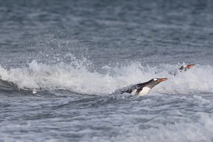 20191218-2154.jpg