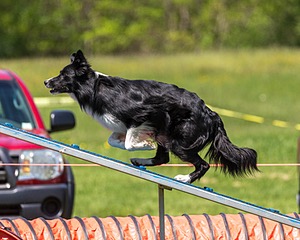 20170520-NEAT-1630.jpg