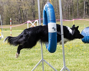 20160514-NEAT-1062.jpg