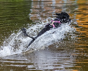 20230909-JWD-0085.jpg