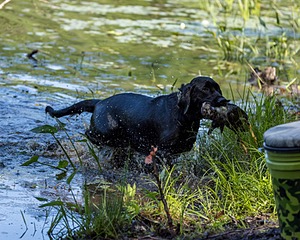 20220604-SHW-2284.jpg