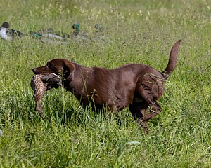 20210606-SEAL-0490.jpg