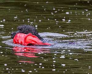 20210912-MWD-0216.jpg