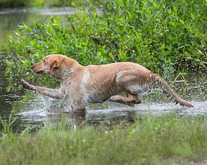 20130713-MHB2-0326.jpg