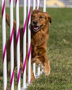 20230916-PVKC-1433.jpg