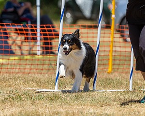 20160619-CCKC-1016.jpg