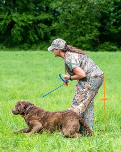 20170603-SHRL-0897.jpg
